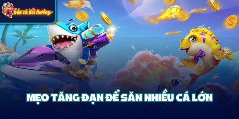 Tuyệt Chiêu Săn Cá Lớn - Tối Ưu Điểm Số Và Tài Nguyên 2 Mẹo tăng đạn để săn nhiều cá lớn